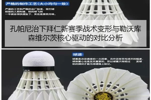 孔帕尼治下拜仁新赛季战术变形与勒沃库森维尔茨核心驱动的对比分析